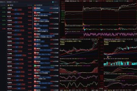 强势股+大面榜+ths热榜+异动监控 四合一通达信通用浏览器版面